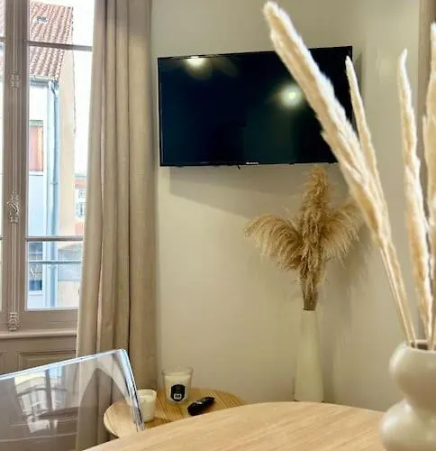 Le Petit Rameau - T2 Hypercentre