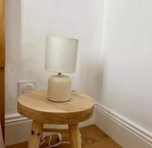 Appartement Le Petit Rameau - T2 Hypercentre Clermont-Ferrand