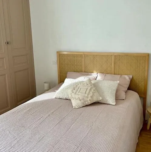 Le Petit Rameau - T2 Hypercentre Clermont-Ferrand